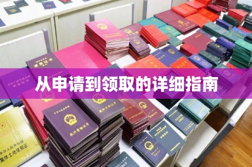 东河从申请到领取的详细指南